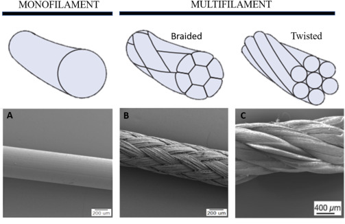 Monofilament/Multifiıament